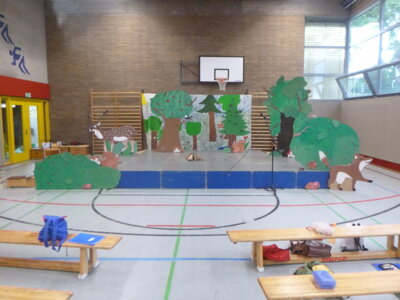 Foto des Albums: Projektwoche „Wälder der Welt“ und Schulfest