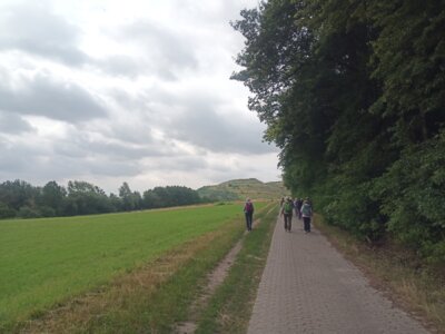Auf dem Panoramaweg  (Bild vergr&ouml;&szlig;ern)