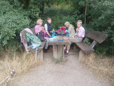 Premiumpicknickplatz  (Bild vergr&ouml;&szlig;ern)