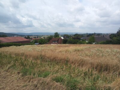 Weitsicht  (Bild vergr&ouml;&szlig;ern)