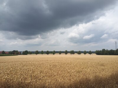 Schlu&szlig;bild  (Bild vergr&ouml;&szlig;ern)
