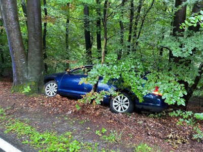 Foto des Albums: VU_Person klemmt, Postdamm