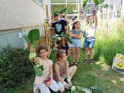 Foto des Albums: Schulgarten