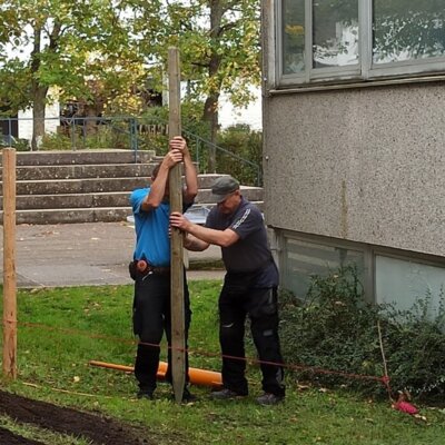 Foto des Albums: Schulgarten