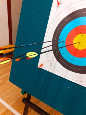 Foto des Albums: Training Halle