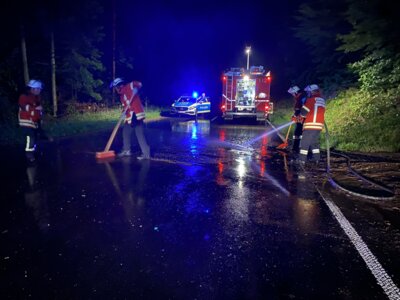 Foto des Albums: Einsatz 30.07.2023