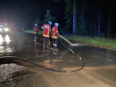 Foto des Albums: Einsatz 30.07.2023