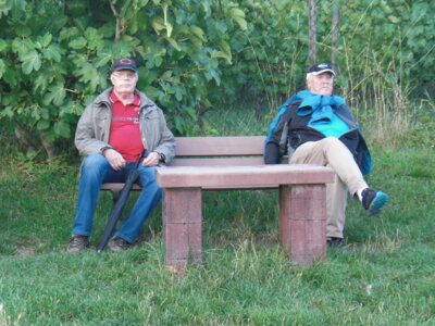 Foto des Albums: Spaziergang zu den Hochstädter Weinbergen