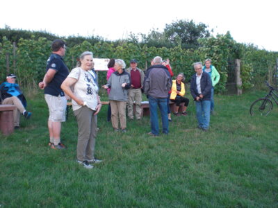 Foto des Albums: Spaziergang zu den Hochstädter Weinbergen