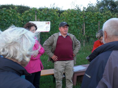 Foto des Albums: Spaziergang zu den Hochstädter Weinbergen