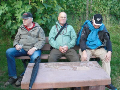 Foto des Albums: Spaziergang zu den Hochstädter Weinbergen