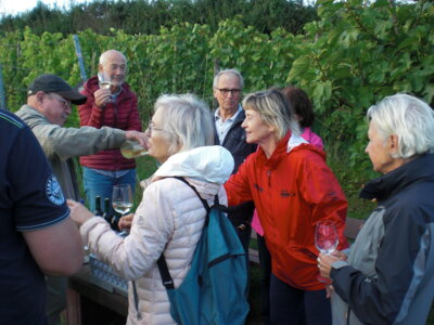 Foto des Albums: Spaziergang zu den Hochstädter Weinbergen