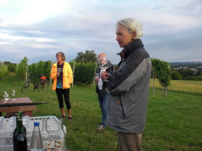 Foto des Albums: Spaziergang zu den Hochstädter Weinbergen