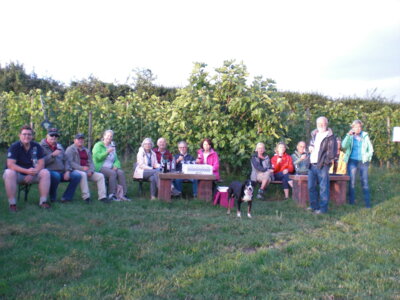 Foto des Albums: Spaziergang zu den Hochstädter Weinbergen