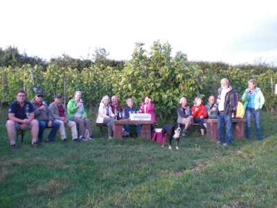 Foto des Albums: Spaziergang zu den Hochstädter Weinbergen