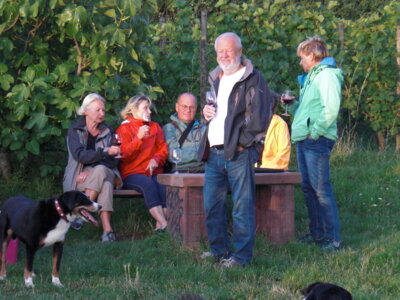 Foto des Albums: Spaziergang zu den Hochstädter Weinbergen