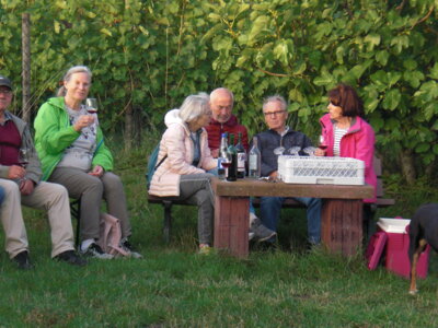 Foto des Albums: Spaziergang zu den Hochstädter Weinbergen