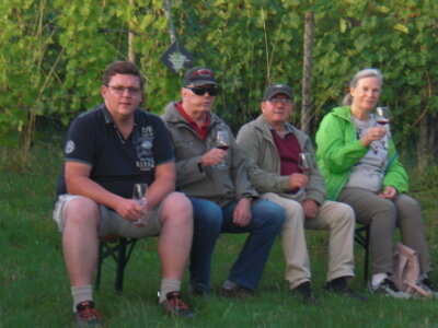 Foto des Albums: Spaziergang zu den Hochstädter Weinbergen