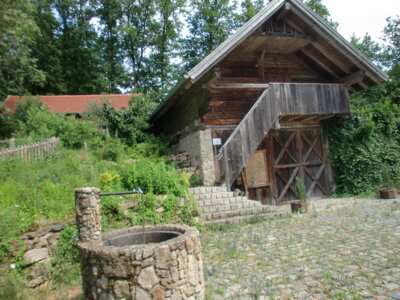 Foto des Albums: Obstlehrgarten mit Brotbackofen (04. 08. 2023)