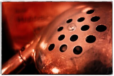 Foto des Albums: Besuch
