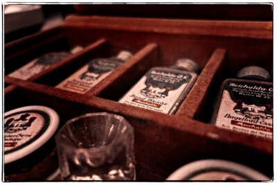 Foto des Albums: Besuch