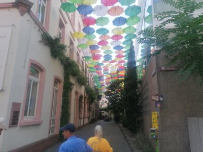 Vorschaubild: Mainz (1)