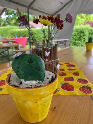 Foto des Albums: Sommer Sonne Kaktus