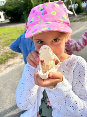 Foto des Albums: Waldmobil