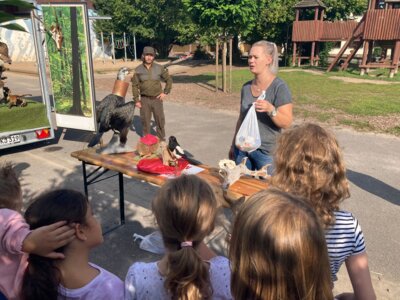 Foto des Albums: Waldmobil