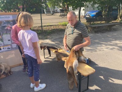 Foto des Albums: Waldmobil