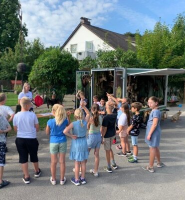 Foto des Albums: Waldmobil