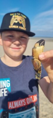 Foto des Albums: Wangerooge