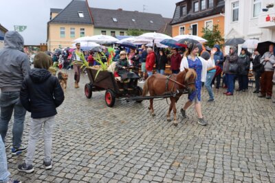 Foto des Albums: Rothenburger Sommerfest vom 04.08.2023 - 06.08.2023
