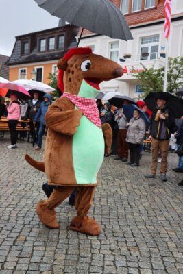 Foto des Albums: Rothenburger Sommerfest vom 04.08.2023 - 06.08.2023