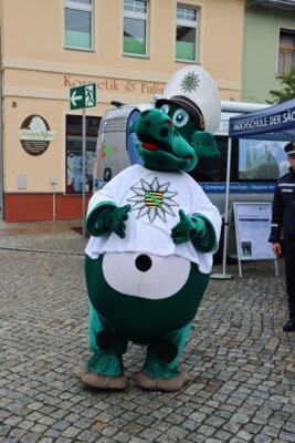 Foto des Albums: Rothenburger Sommerfest vom 04.08.2023 - 06.08.2023