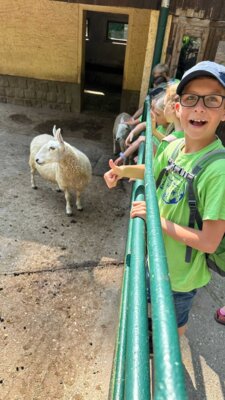 Foto des Albums: Wandertag Klasse 3 ( Tierpark Gera)