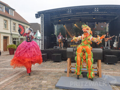 Foto des Albums: Herbstleuchten 2023 - die Stadt war voller Menschen