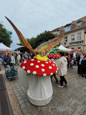 Foto des Albums: Herbstleuchten 2023 - die Stadt war voller Menschen