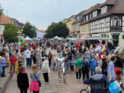 Foto des Albums: Herbstleuchten 2023 - die Stadt war voller Menschen