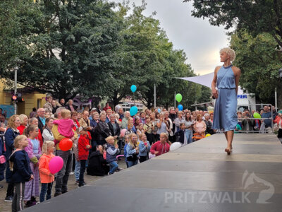 Foto des Albums: Herbstleuchten 2023 - die Stadt war voller Menschen