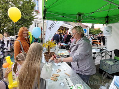 Foto des Albums: Herbstleuchten 2023 - die Stadt war voller Menschen