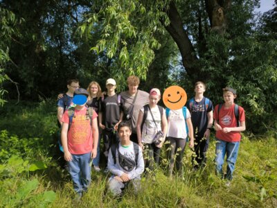 Foto des Albums: verschiedene Projekte