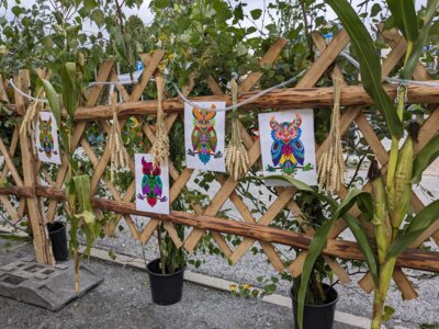 Foto des Albums: „Die Eulen rufen