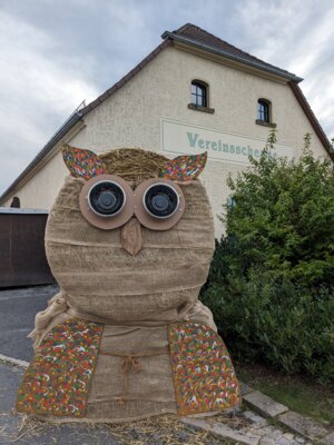 Foto des Albums: „Die Eulen rufen