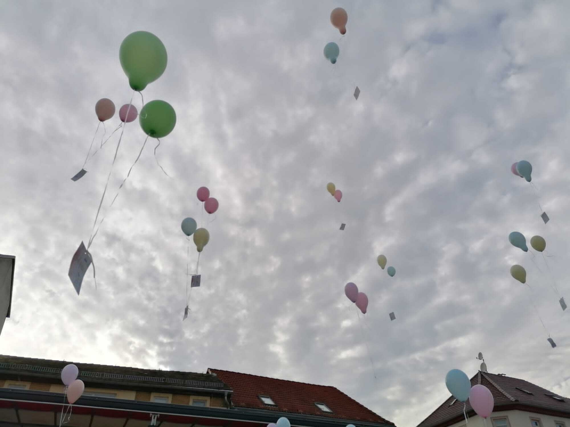 Bild: ... weit weit fliegen
