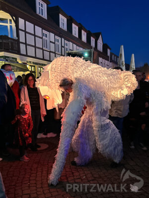 Foto des Albums: Fantasiewelt in zarten Farben am Rathaus