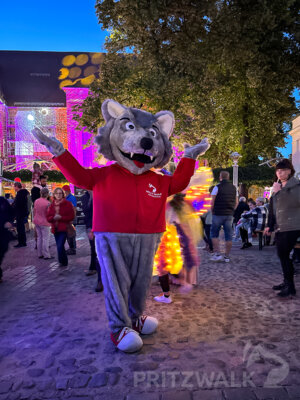 Foto des Albums: Fantasiewelt in zarten Farben am Rathaus