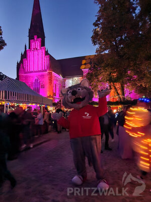 Foto des Albums: Fantasiewelt in zarten Farben am Rathaus