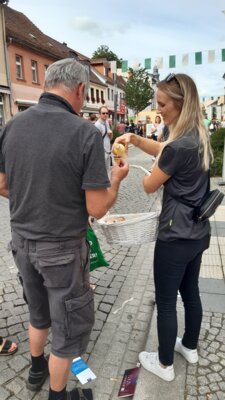 Foto des Albums: BRANDENBURGTAG 2023 in Finsterwalde