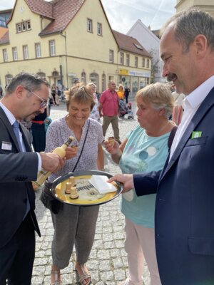 Foto des Albums: BRANDENBURGTAG 2023 in Finsterwalde